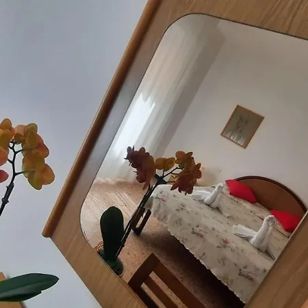Dora 3*